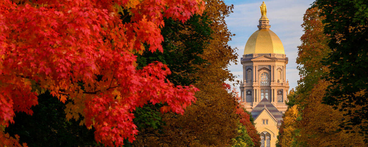 Notre Dame's golden dome surrounded by brilliant fall trees.