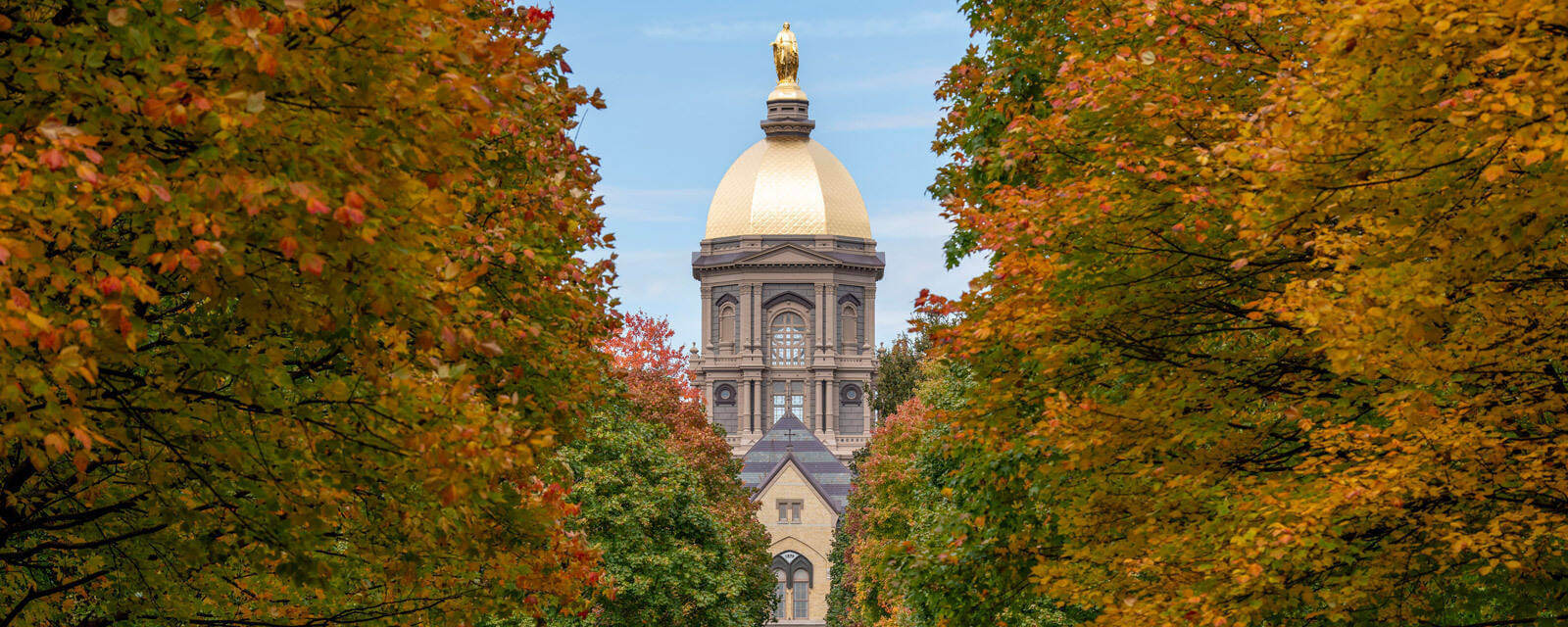 Notre Dame's Golden Dome surrounded by trees in early fall.